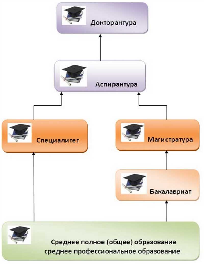 Структура образовательных программ бакалавриата, магистратуры и аспирантуры