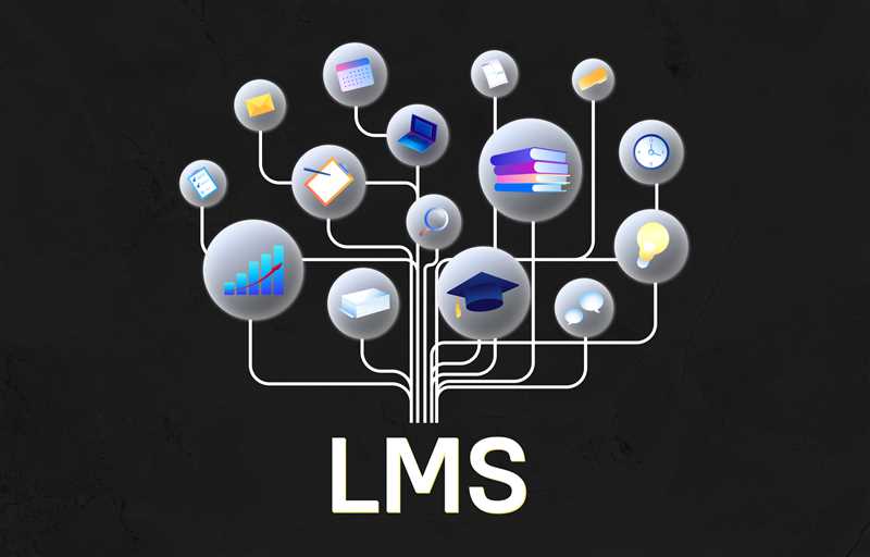 Виды обучения, доступные в ЛМС