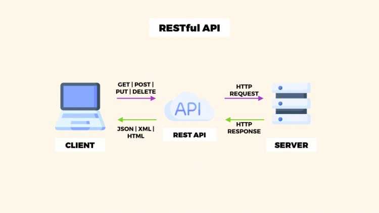 Архитектура REST API и ее ключевые компоненты