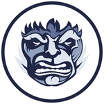 Логотип онлайн школы Convert Monster